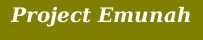 Project Emunah